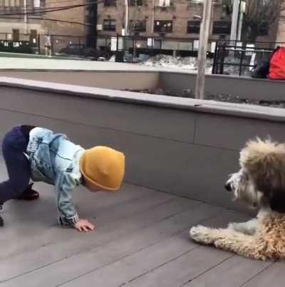 14 months old kid seeing a dog for the first time