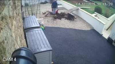 Hilarious moment a gardener slips down a walkway - tipping a wheelbarrow of soil onto his head