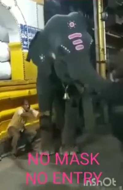 Elephant trained to keep people without a mask out of the market..