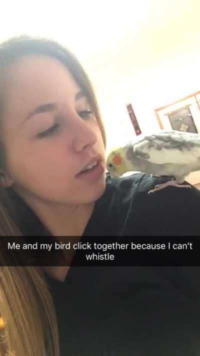 A year ago today my pet cockatiel and I were messing around