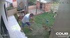 How not to get rid of ants