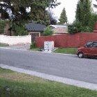 A mother skunk leading her impressively large family along through a neighborhood