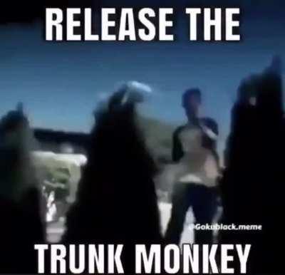 Thanks I hate trunk monkey