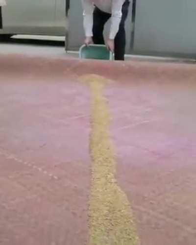 Guy gets all dirt off rug in one swoop