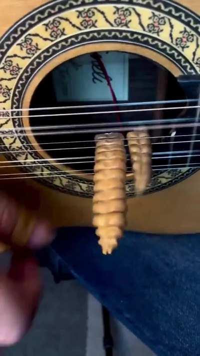 Playing Brazilian ten-string guitar with rattlesnake tails