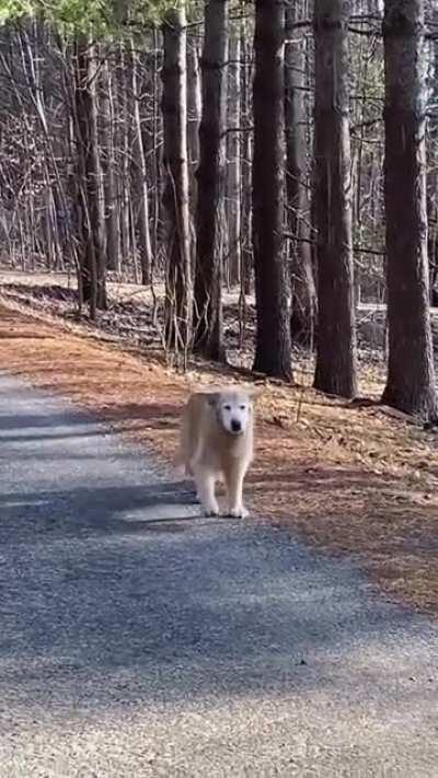 17-year-old Good Girl still got pep in her step