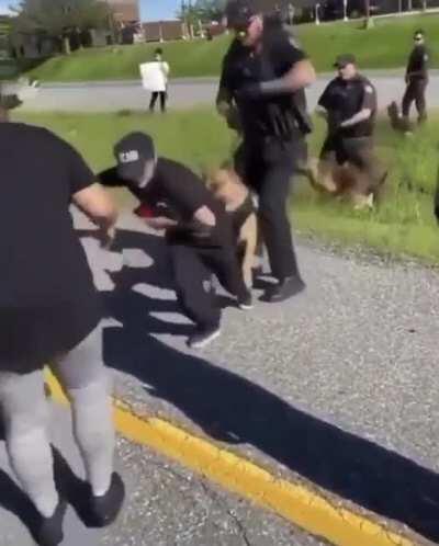 WCGW if I parade my ass in front of a police dog