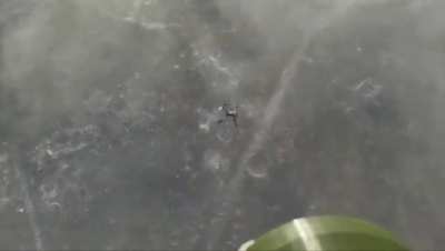 A Ukrainian copter equipped with a &quot;net shooter&quot; intercepts the russian