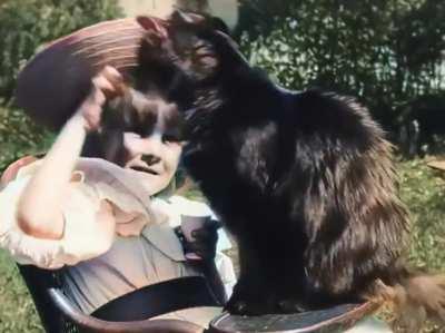 Film of cat and a girl from 1899 (color adjusted)