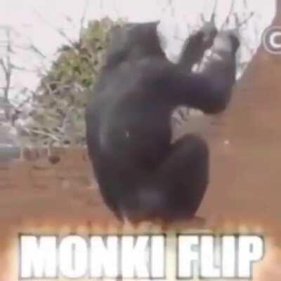 Monke flip