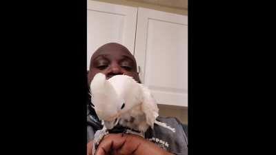 Veterinarian gives this Cockatoo a musical healing