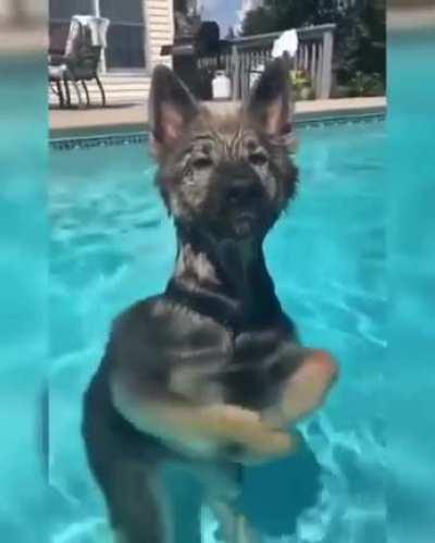 Water Floof