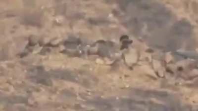 Saudi sniper targets a Houthi near the border-yemen