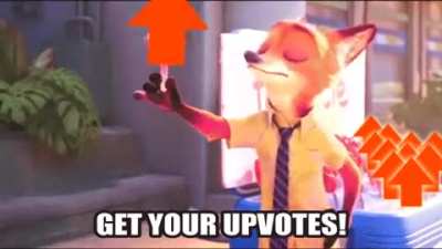zootopia