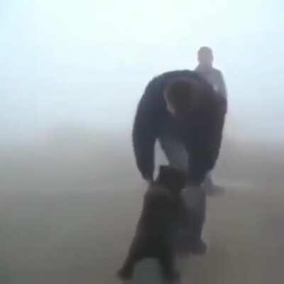 Baby bear refuses to let go of the ranger that saved him from fire