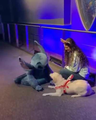 Service doggo meets idol!