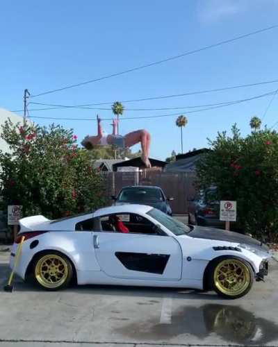 Backflip on a Car