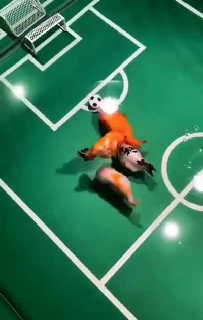 Uhhh... fish soccer?