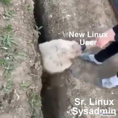 New Linux user be like ...