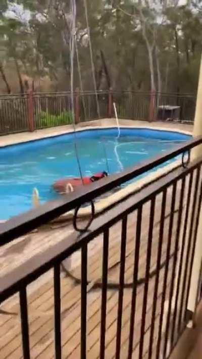 Australian firefighters take water from a random homeowner's swimming pool