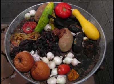 Timelapse of Fruit and Vegetables Decomposition 