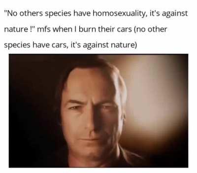 Be gay burn cars