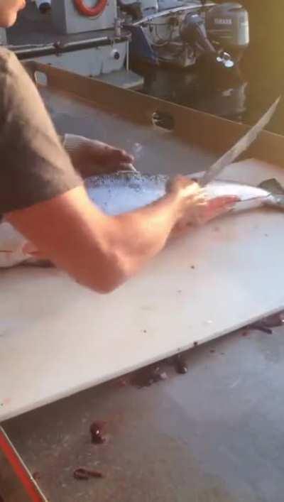 Guy cutting a salmon the fastest way possible