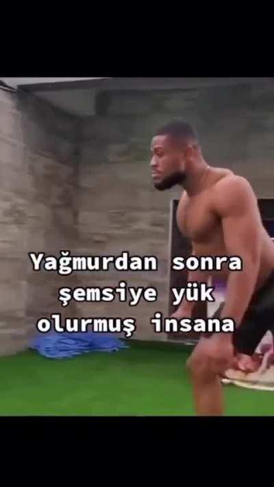 semsiye