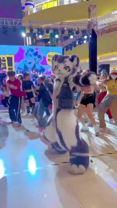 This professional dancer in fur suit