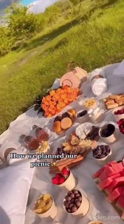 WCGW having a picnic in the wild