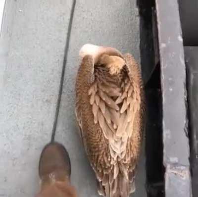 oh.. big!!!