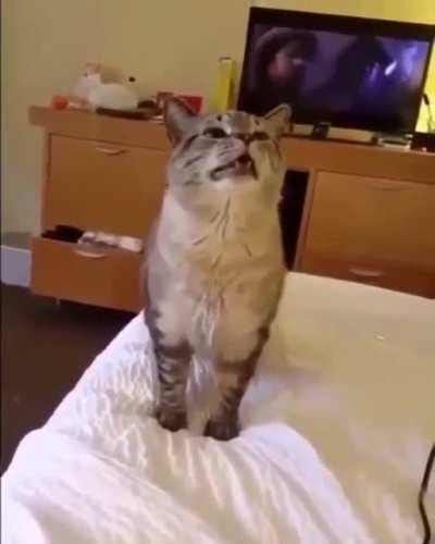 Cute sneeze!