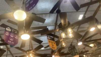 The Ceiling Fan Display at Lowes.