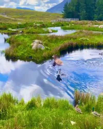 Video from Glencoe, Scotland that doesn’t look real