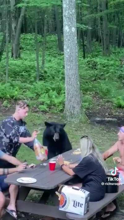 A bear decides to sit with some humans and try to behave calmly. As a result, the bear is rewarded with a peanut butter sandwich