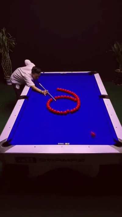 The skills of this pool shark.