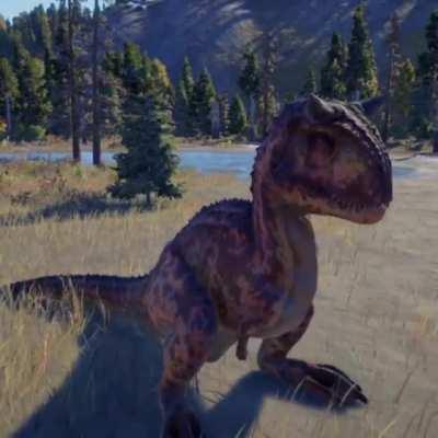 I can watch this Carno sit all day