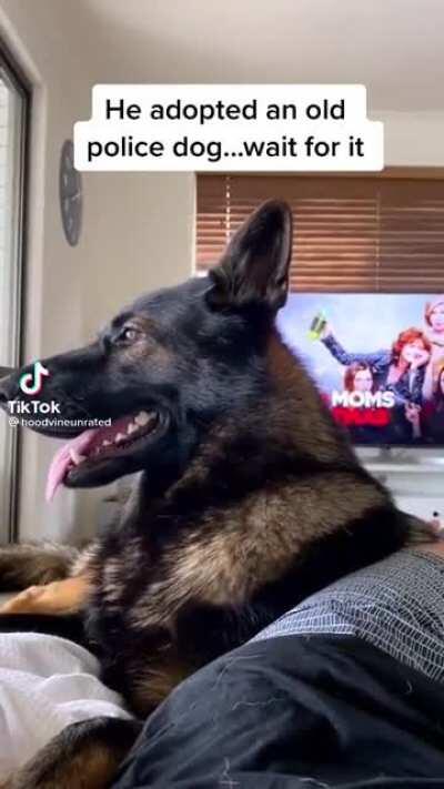 Police dog remembers