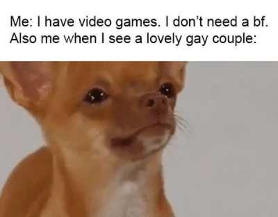 Gaymer_IRL