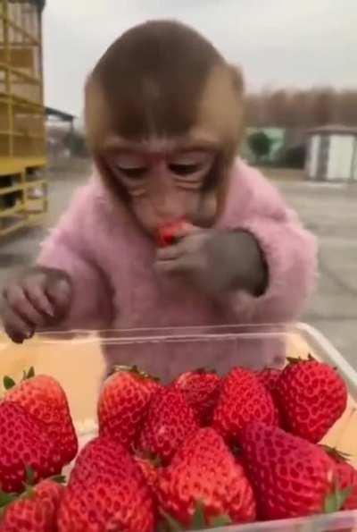 aryani eating strawberries