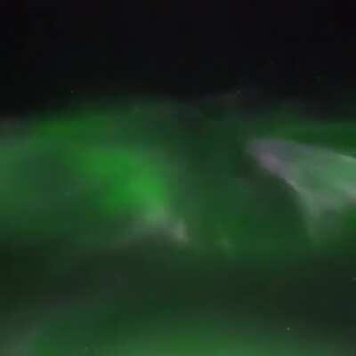 Northern Lights in real time