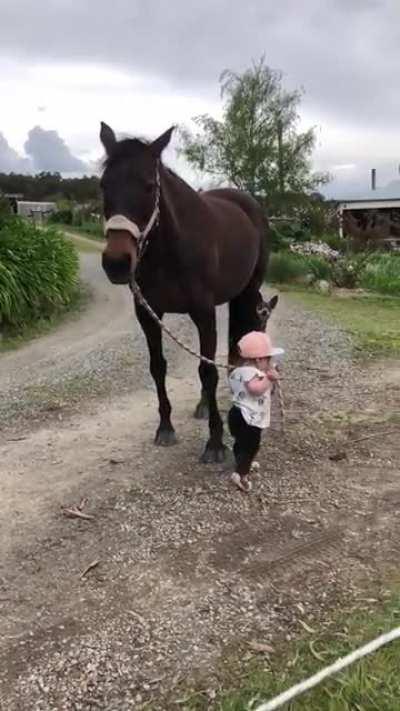 Little Girl Leads Horse