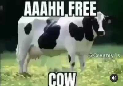 AHHHHH FREE COW!