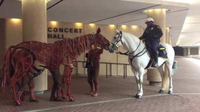 Real horse interacts with a mechanical horse