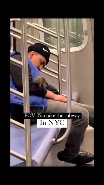 The New York City Subway Isnt A Real Place