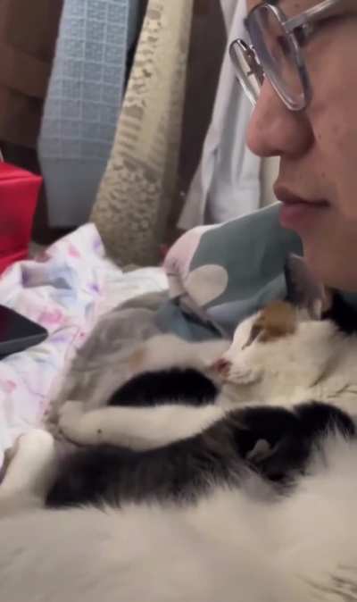 How much this mama cat trusts its hooman is amazing.🥰🥰