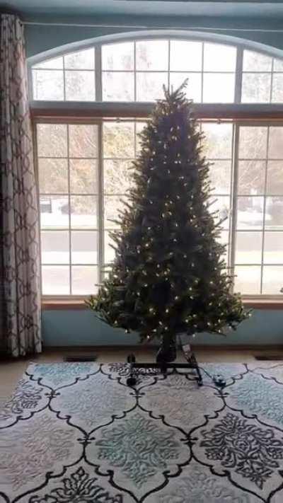 This adjustable Christmas tree