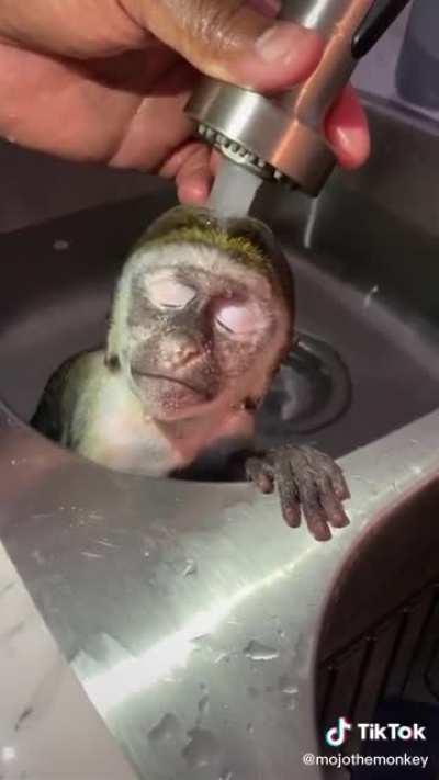 Monke takes relaxing bath