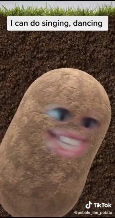 Potato