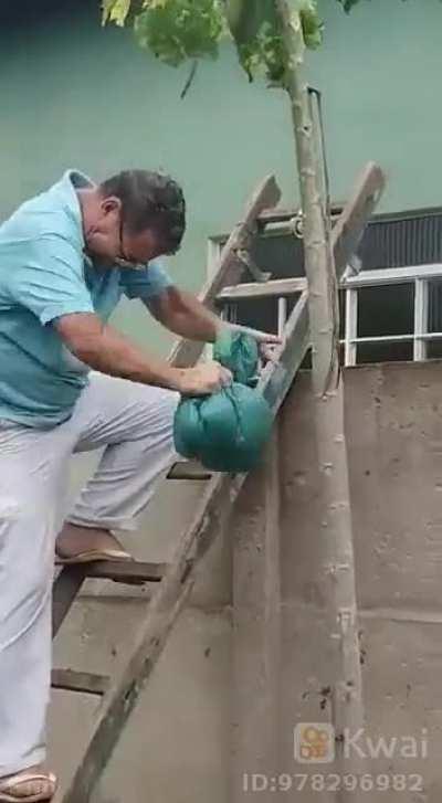 WCGW when you have a plastic bag and a swarm of bees